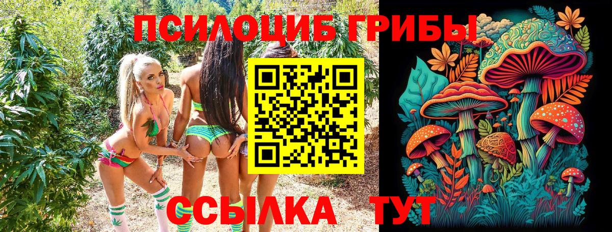 Омск  Псилоцибиновые грибы MAGIC MUSHROOMS  Вход с VPN  Псилоцибиновые грибы Cubensis 